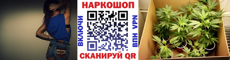 Купить наркотики цена Новошахтинск hydra Меф мяу мяу ГАШИШ
