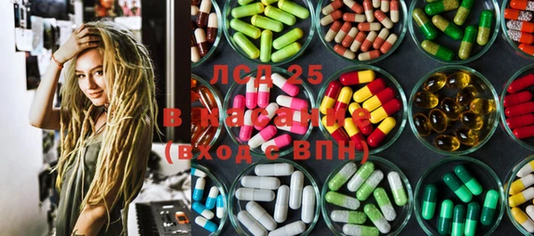 PSILOCYBIN Волосово