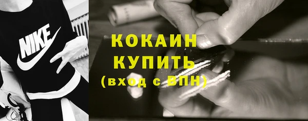 PSILOCYBIN Волосово