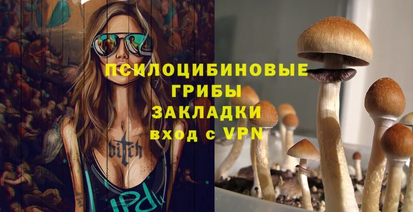 PSILOCYBIN Волосово