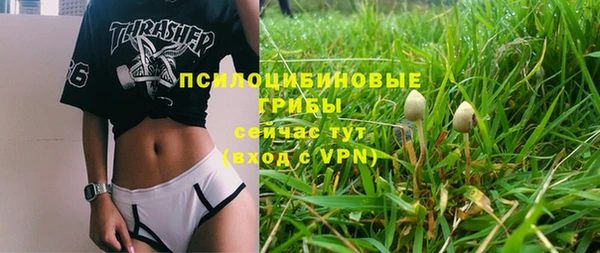 PSILOCYBIN Волосово