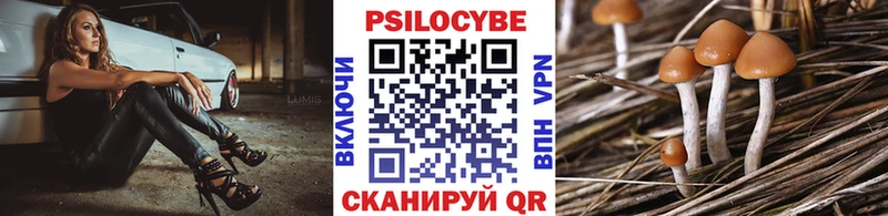 Псилоцибиновые грибы Psilocybine cubensis  Новошахтинск 