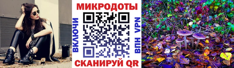 Псилоцибиновые грибы Magic Shrooms Новошахтинск